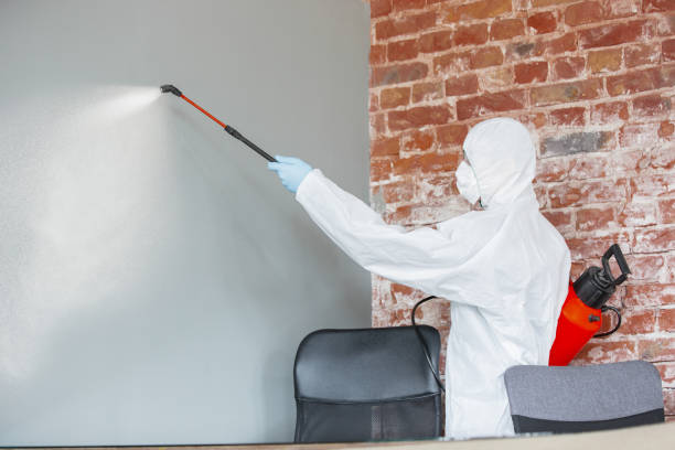 Best Mold-Related Health Consultation  in Fairview, MT