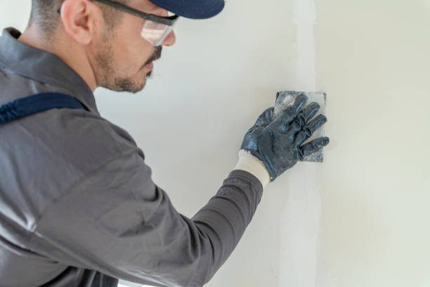 Best Attic Mold Removal  in Fairview, MT