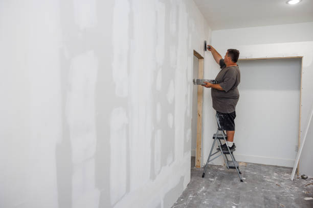 Best Commercial Mold Inspection  in Fairview, MT
