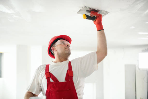 Best Biohazard Mold Removal  in Fairview, MT