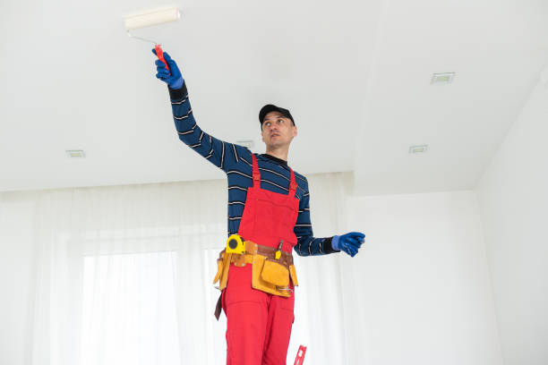 Best Black Mold Removal  in Fairview, MT