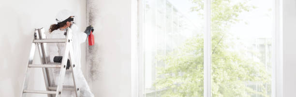 Best Mold Prevention Services  in Fairview, MT