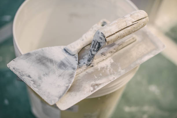 Trusted Fairview, MT Mold Removal Experts